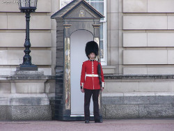 Караульный Букингемского дворца устроил представление для туристов