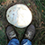 Фотофакт: Под Барановичами нашли гриб размером с баскетбольный мяч
