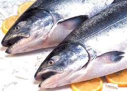 Россия может ограничить импорт рыбы из Беларуси