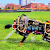 Робот-гепард научился бегать без поводка (Видео)