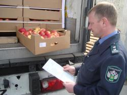 Белорусы везли польские яблоки в Казахстан через Новосибирск