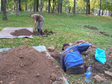 В Бобруйске проводят эксгумацию останков немецких солдат