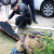 Перестрелка в Ровенской области: задержаны 16 человек