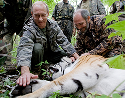 Еще один «путинский тигр» попытался сбежать из России в Китай