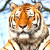 Амурские тигры бегут из России в Китай