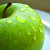 Зеленые яблоки помогут похудеть