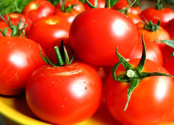 Россельхознадзор обвинил Беларусь в реэкспорте томатов из Украины