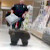 Шестимесячный медвежонок заблудился в аптеке в штате Орегон (Видео)