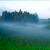 Беларусь накрывает туманами
