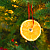 Упрыгожваем дом да Новага года: гірлянда з апельсінаў і дэкор з галінак