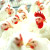 Белорусские птицефабрики тоннами скупают запрещенные антибиотики