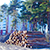 Активисты защитили лесопарк в Солигорске от вырубки