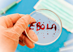 Вакцину от Эболы впервые испытали на людях