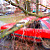 Мощный ветер в Бресте повалил деревья и заборы