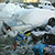 Фотофакт: На мусорке в Омске нашли Jaguar