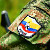 Колумбийские повстанцы пригласили «Мисс Вселенной» на переговоры с властями