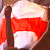 Фотафакт: Бел-чырвона-белы сцяг на канцэрце «Трубяцкога» ў Менску