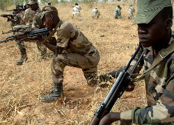 Войска Нігерыі вызваліла ад ісламістаў горад Бага
