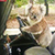 В Австралии коала пыталась угнать семейный Land Rover
