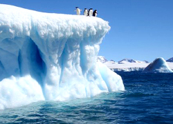 Амерыканскія навукоўцы: Лёд у Арктыцы «будзе раставаць на вачах»