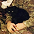 Фотофакт: Белорусские бойцы АТО приютили кота с позывным «Кiт»