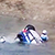 Эстонский гонщик утопил в озере свой Ford Fiesta RS WRC (Видео)