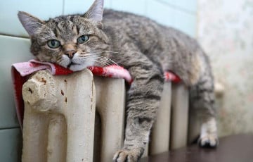 В ЖКХ рассказали, куда обращаться, если батареи греют слабо