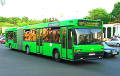 График движения междугородних автобусов в Минске изменится