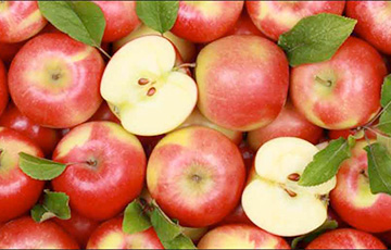 Belarus Increased Import Of Polish Apples Several Times