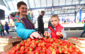 Белорусские ягоды на Комаровке дороже импортных
