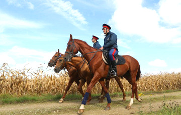 Московские «казаки» проедут через Беларусь на лошадях