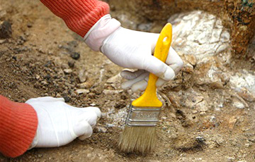 Редкий медный кинжал возрастом 4000 лет обнаружили в Польше
