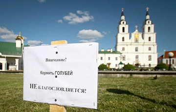 Фотофакт: БПЦ не благословляет кормить голубей в Минске