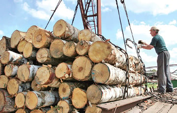 Belarusian Wood Processing Loses Out