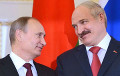 Двусторонней встречи Лукашенко и Путина в Узбекистане не было