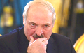 Лукашенко запретил использовать иностранные гранты на агитацию