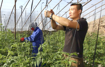 The Financial Times: Россия боится китайской аннексии Забайкалья