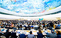 Совет по правам человека ООН: Политзаключенные в Беларуси должны быть освобождены и реабилитированы