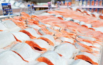 Another Mystery Of Negotiations In Sochi: Who Earns On Russian Fish For Belarus?