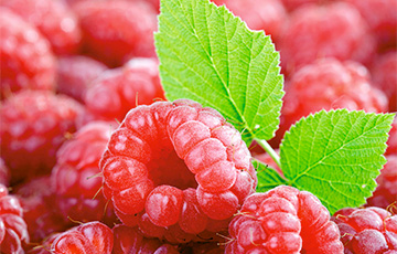 Названы пять лучших летних фруктов и ягод для похудения