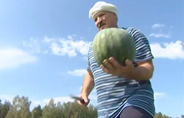 Лукашенко: Выращенные арбузы отвожу в дом престарелых
