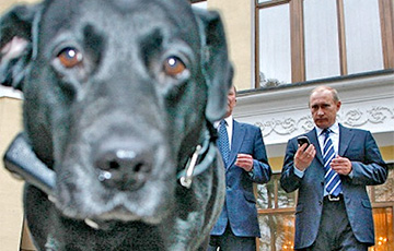 «Ведомости»: Собака Путина летала на отдельном самолете