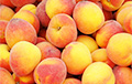 Смоленские таможенники арестовали 39 тонн персиков из Беларуси