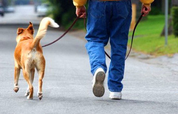 Ученые: Прогулки с собакой укрепляют психику