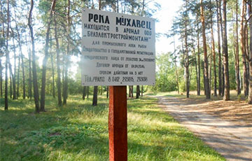 Жители Бреста добились отмены аренды участка Мухавца