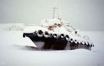 Минобороны России забыло в Арктике 60 человек