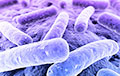Бактерии «видят» так же, как и человек