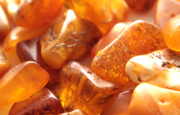 Convicts In Hrodna Prisons To Process Amber For Russia
