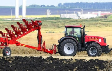 Belarusian Agriculture To Be Sold To Chinese