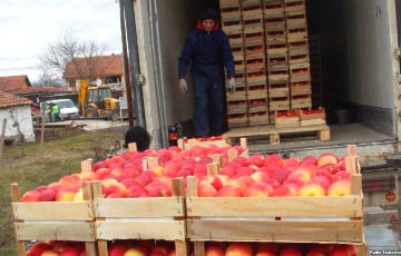 Раскрыта схема международной контрабанды фруктов через Беларусь в Россию